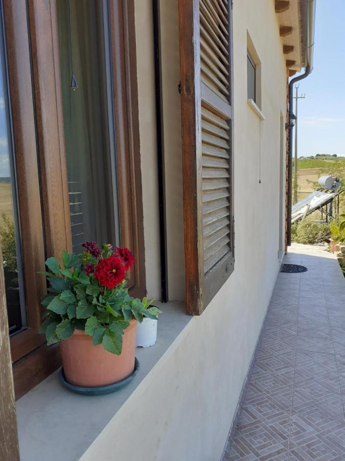 Agriturismo Enjoy Sunset Cinigiano Exterior foto